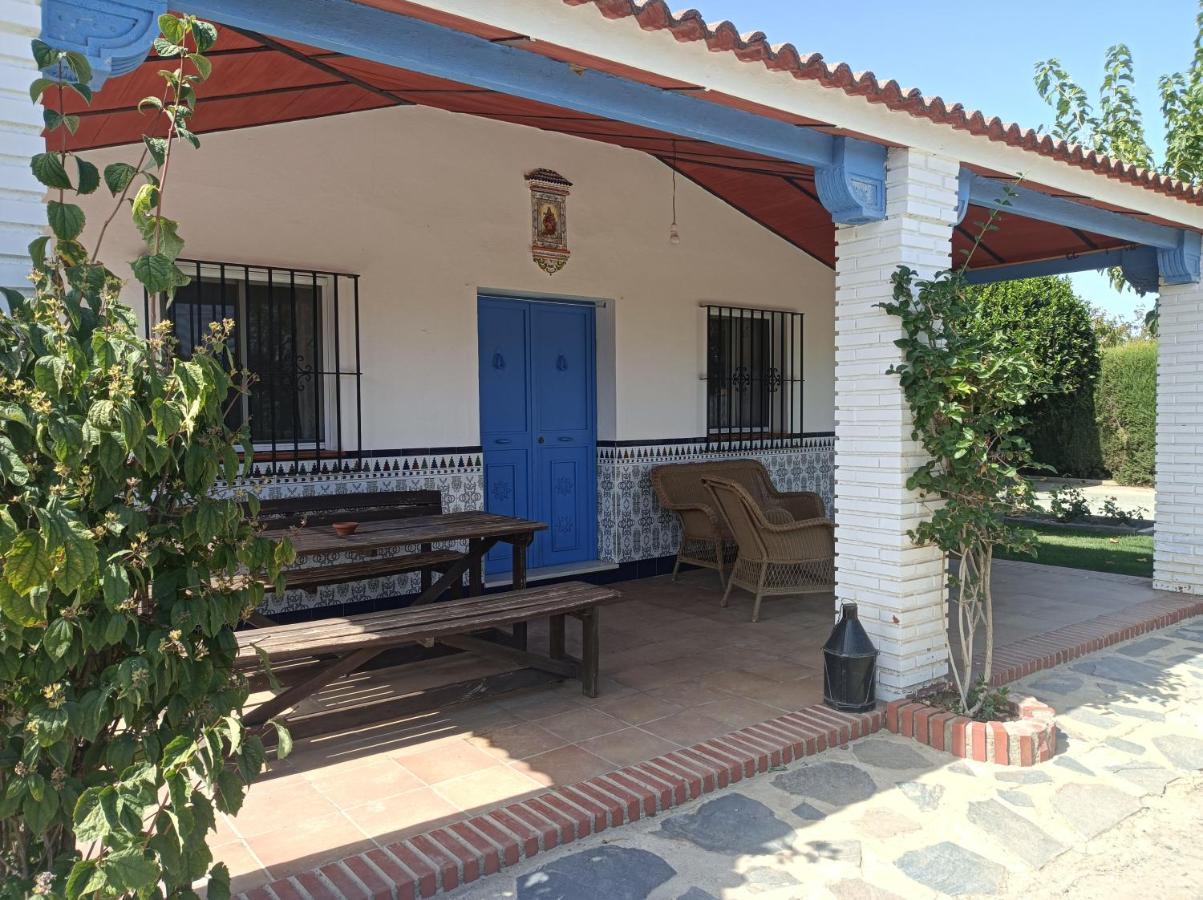 Tazgona Hébergement de vacances Antequera