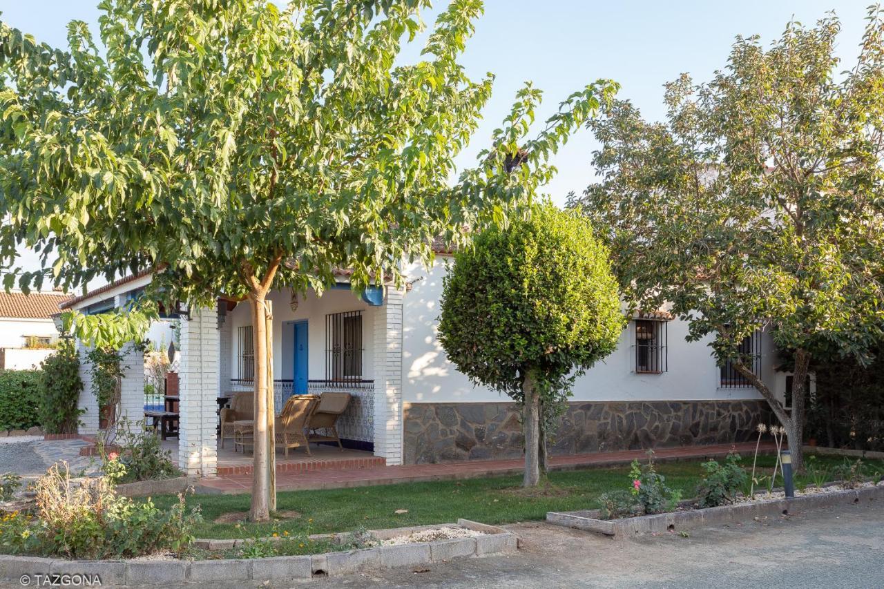 Tazgona * Antequera