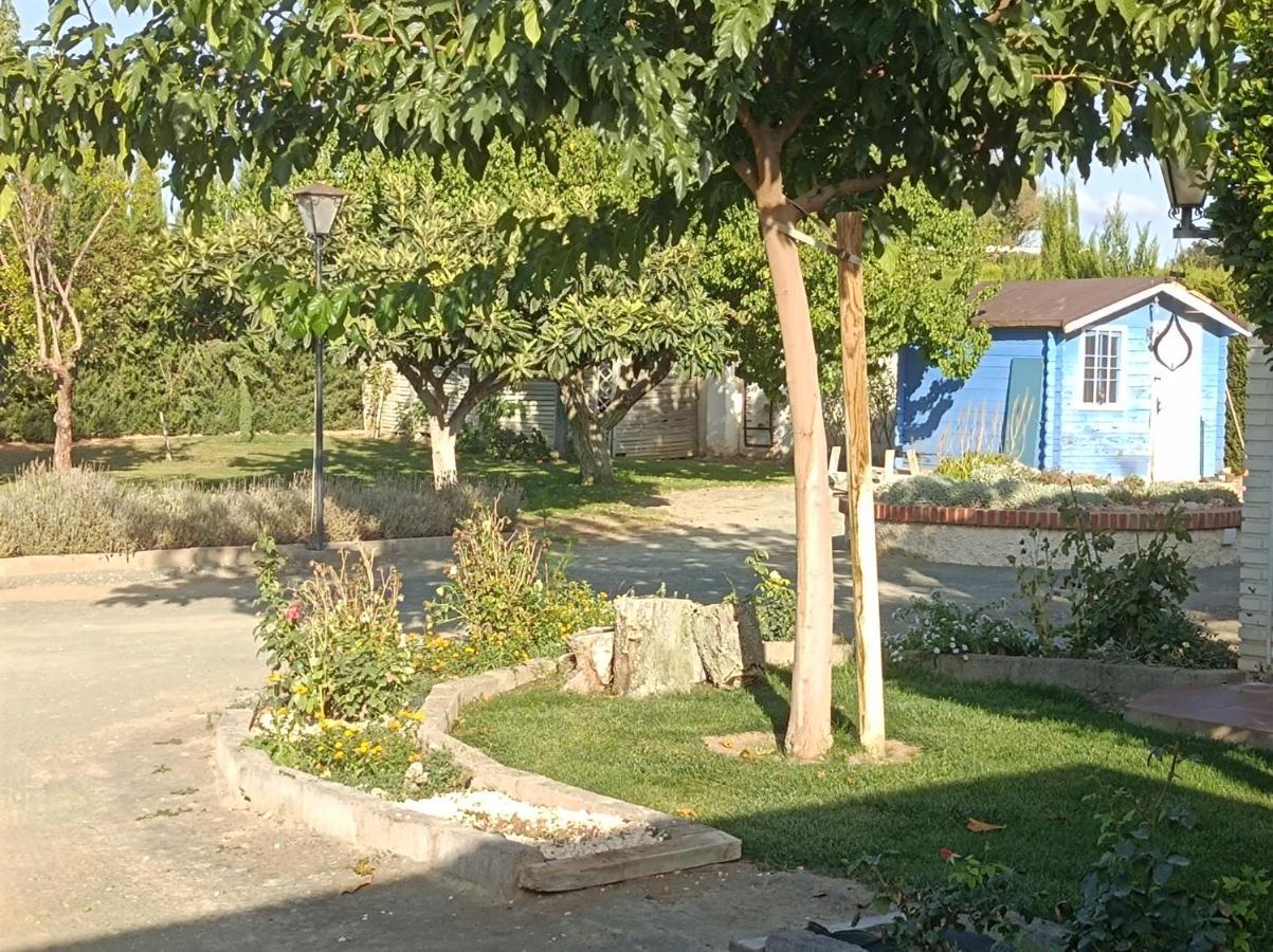Tazgona Antequera